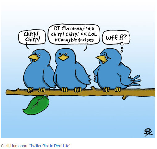 [twitter-birds.jpg]