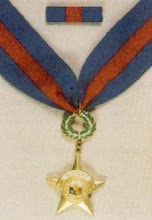 Distinguished Service Star