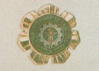 Home Defense Badge