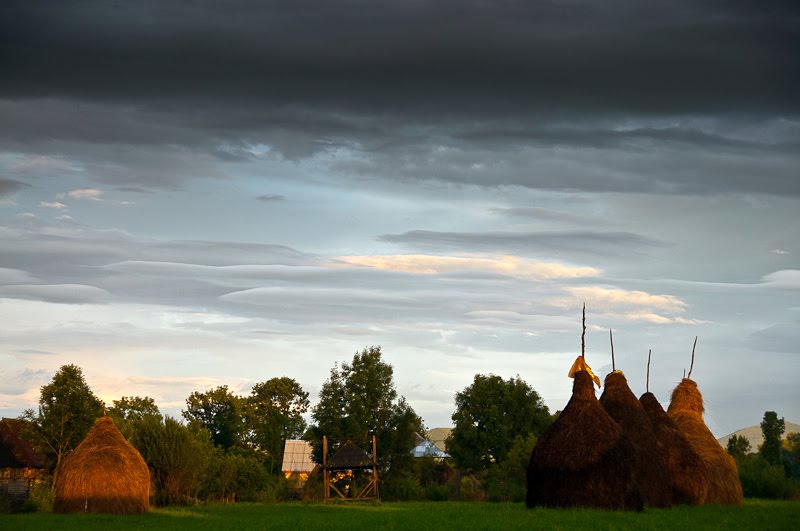Ebsels Unterwegs 2010