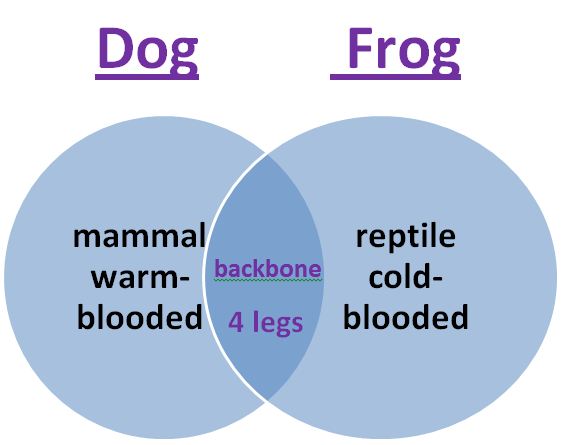 Learning Ideas - Grades K-8: Use a Venn Diagram to Compare Animals
