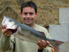 Un Breton de 2,6kg