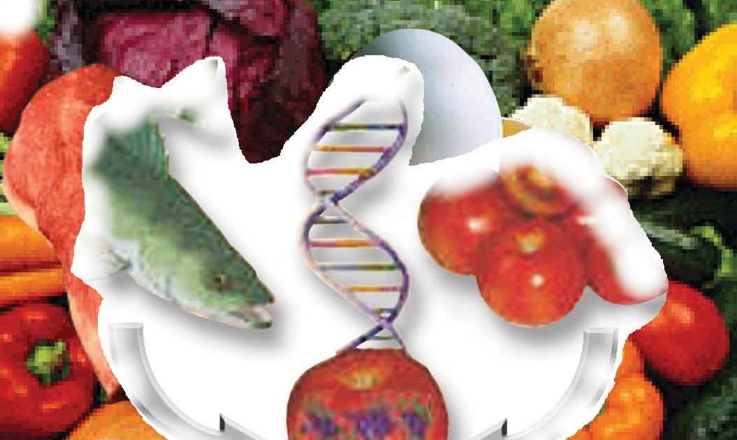 Mais Geografia Alimentos transgênicos Mais Geografia Alimentos transgênicos