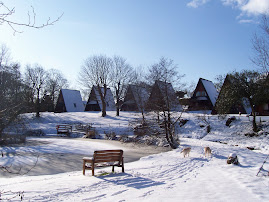 Forda Lodges in the winter