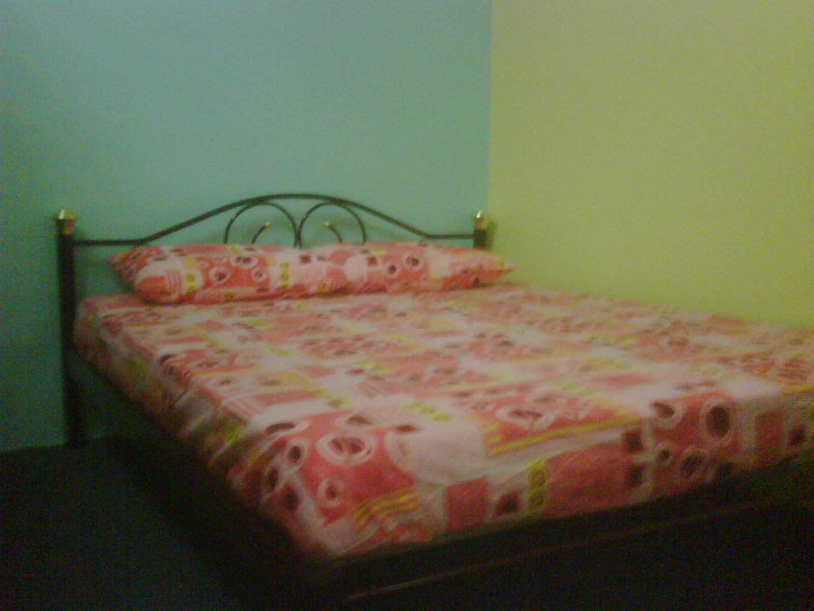 Hijau Homestay: Tanjung Malim Homestay (http://hijauhomestay.blogspot.com)