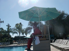The Lifeguard wore sweats!  The bathers are all in the hot tub.  Cold snap in Orlando FL