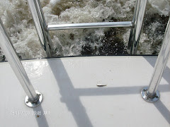 This minnow leapt onto the swim platform from the Albamarle Sound.