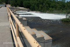 Healey Falls or is it the Healey Spillway