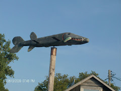 The 'fish' of Leland, MI