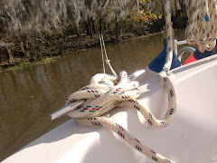 For the first time ever, we tied the stern to a tree.  Next day we got out the extra anchor.