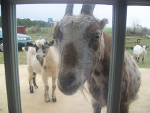 Got any food in there?