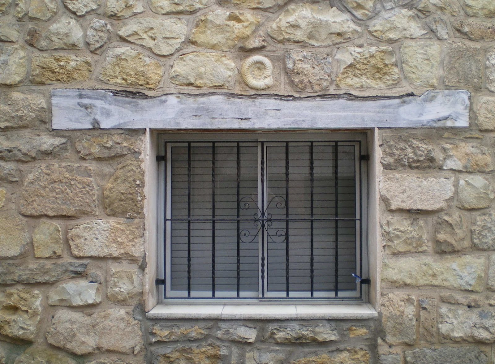 [amonites_Royuela+01.JPG]