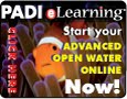 E-Learn Advanced