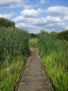 Shibdon Pond Nature Reserve Shibdon Pond Nature Reserve
