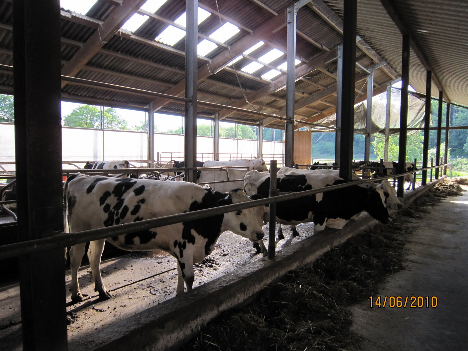 Alan Woods Europe 2010 The Herbst dairy farm