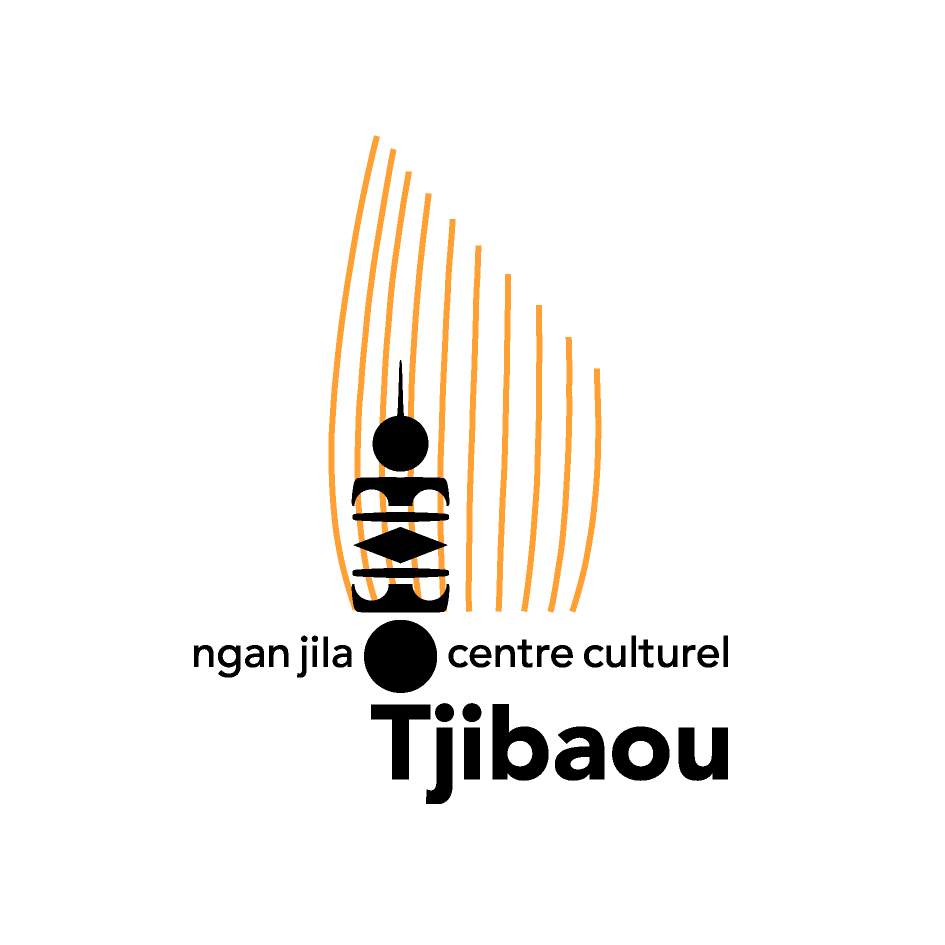 Une curiosité de qualité Centre Culturel Jean Marie Tjibaou