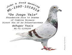 de Jonge Vale