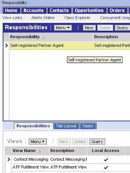 Siebel CRM Screenshot