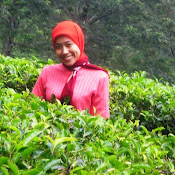 In the middle of tea leaves