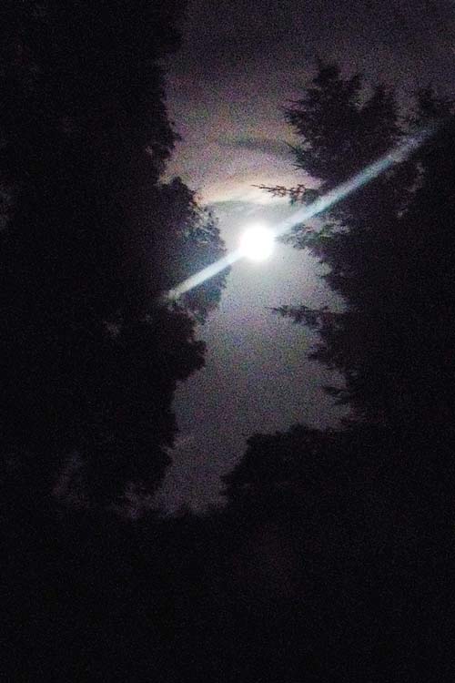[fullmoon_070809.jpg]