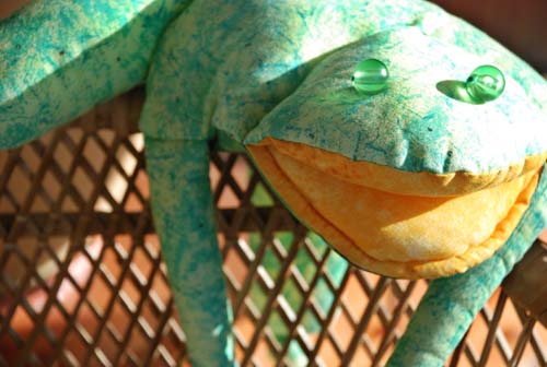 [frog.JPG]
