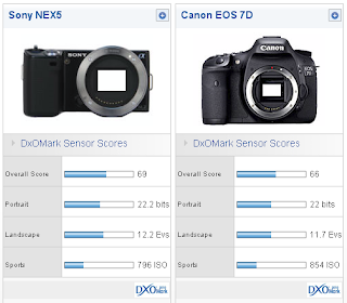 sony nex sensor vs canon 7d