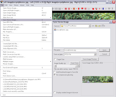 sony nex 3d panorama sterephotomaker tutorial