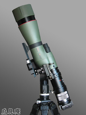 sony nex-5 digiscoping kowa spotting scope