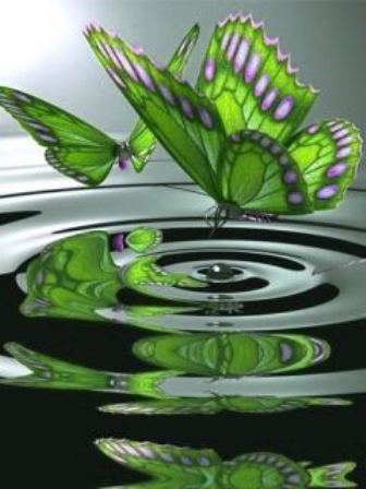Animated Wallpapers: Wallpapers For Phones Mobile