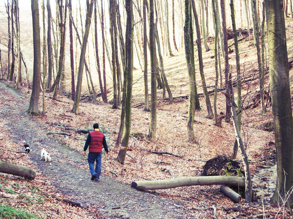 MAY ALL SEASONS BE SWEET TO THEE: Magical False Spring