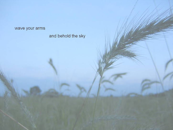 Wave Your Arms and Behold the Sky