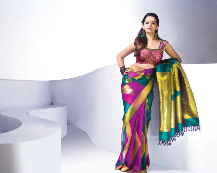 Actress Bhavana Hot in Saree.