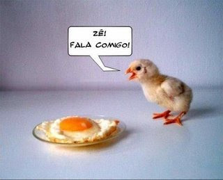fala+comigo+z%C3%A9.jpg
