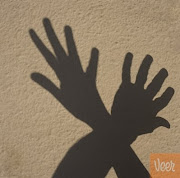The shadow