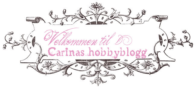 Carinas hobbyblogg