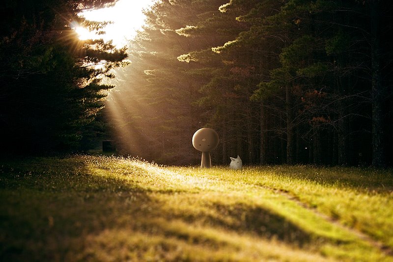 [_MG_1879-Edit-stas_kulesh.jpg]