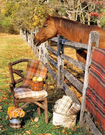 [Horse-With-Tartan-Blanket-HTOURS1006-de.jpg]