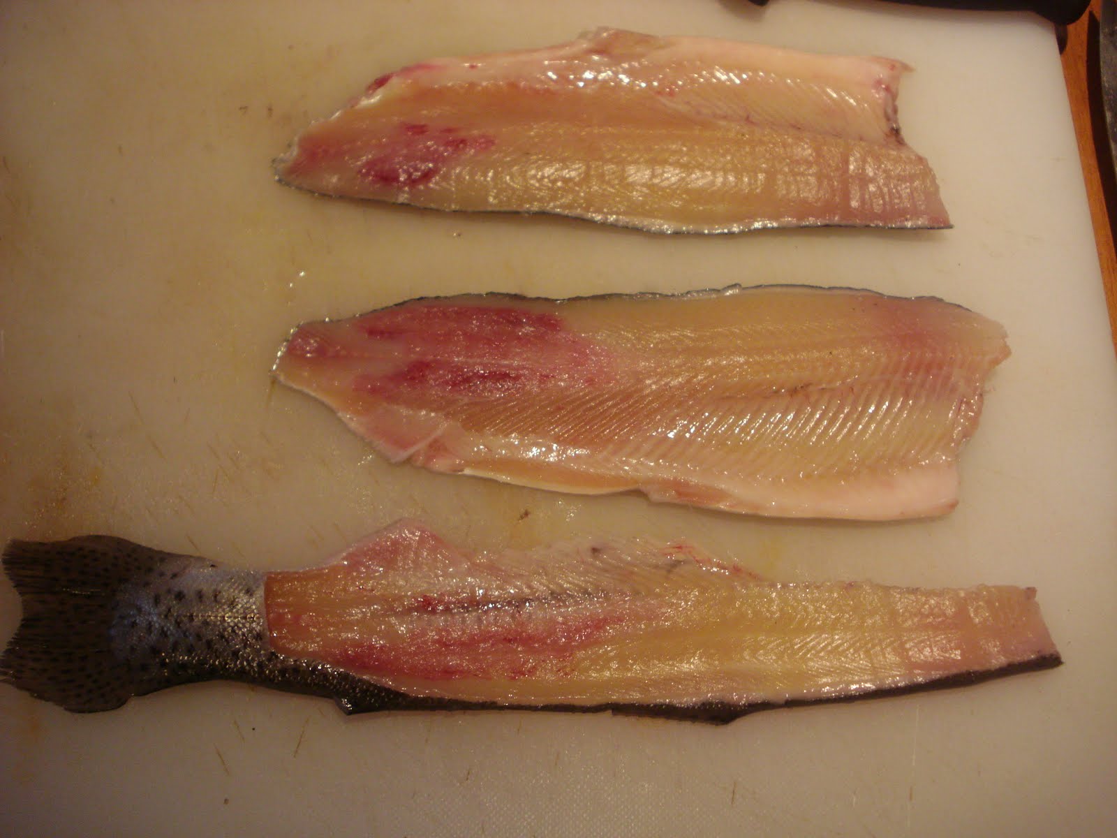 Van Tripps: How to Fillet a Round Fish (ie salmon or trout)