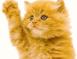 Pussycat%2Bbye.gif