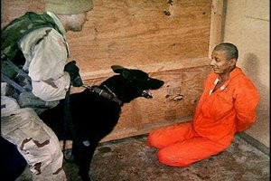 [guantanamo-dog.jpg]