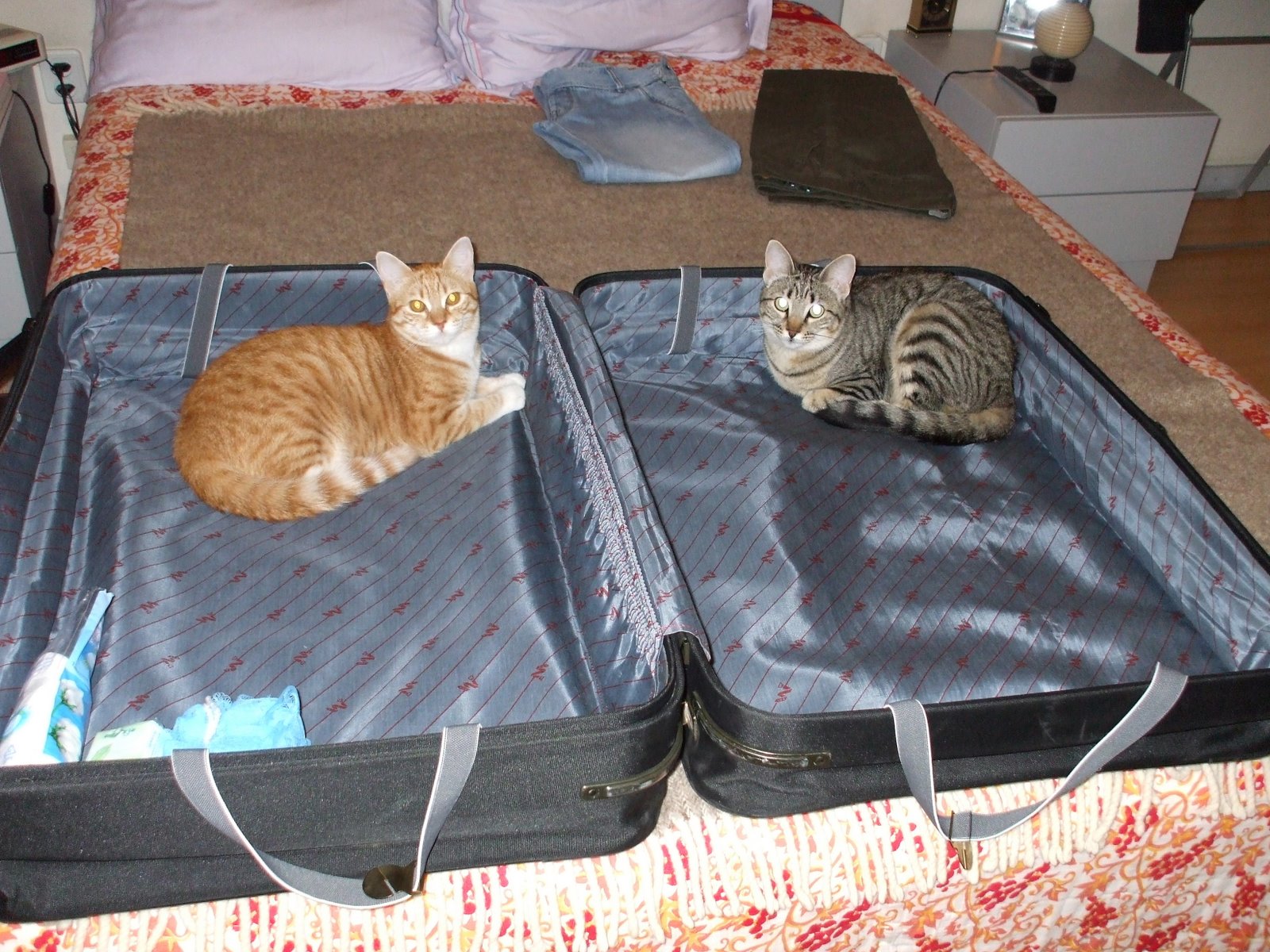 [o+bloqueio+da+mala]