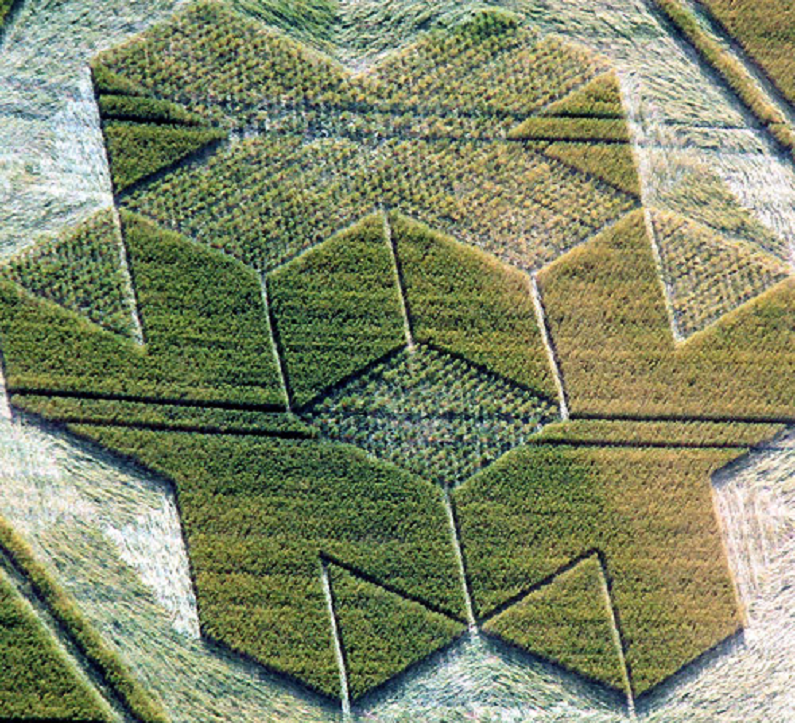 New Crop Circle was found at Cley Hill, nr Warminster, Wiltshire, UK ... Famous Crop Circle