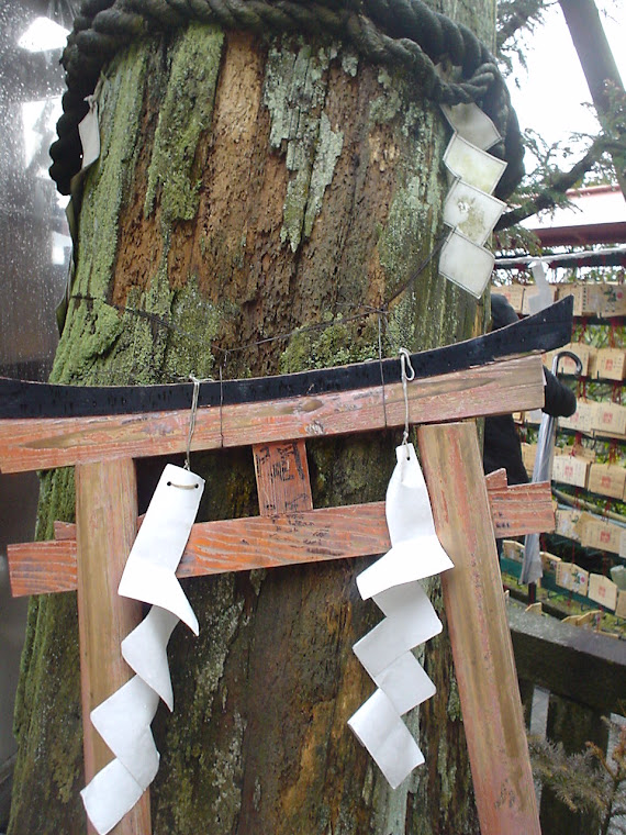 Voodoo tree