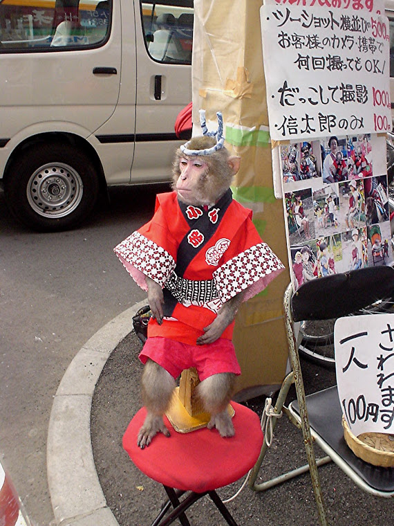 Monkey in Kimono