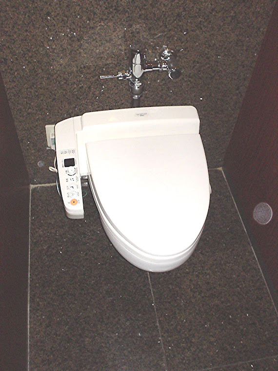 Heated toliet seats in the Palette Town Mall