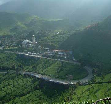 Puncak Pass Bogor Wisata Alam Terbaik yang Wajib Dikunjungi