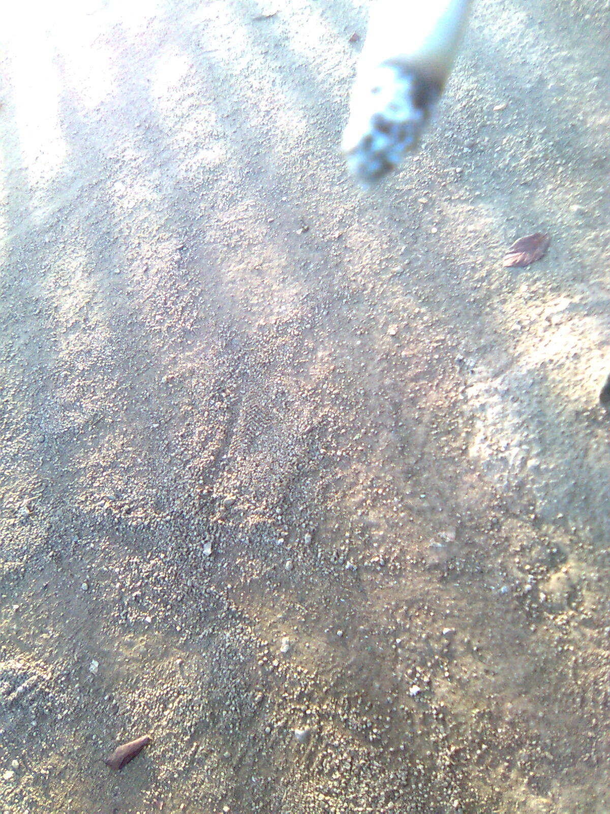 [Foto+nº089.jpg]