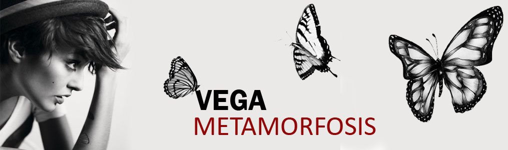 Más cerca de Vega (blog no oficial)