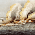 La batalla de Hampton Roads