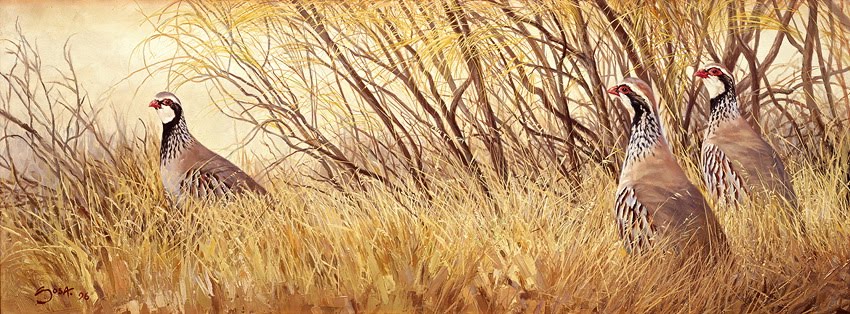 [perdices_y_retama.jpg]